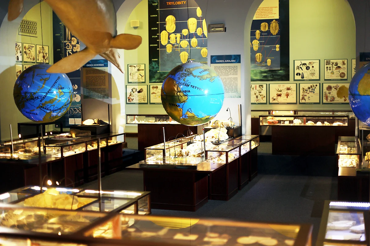 Sala morska Muzeum Ewolucji